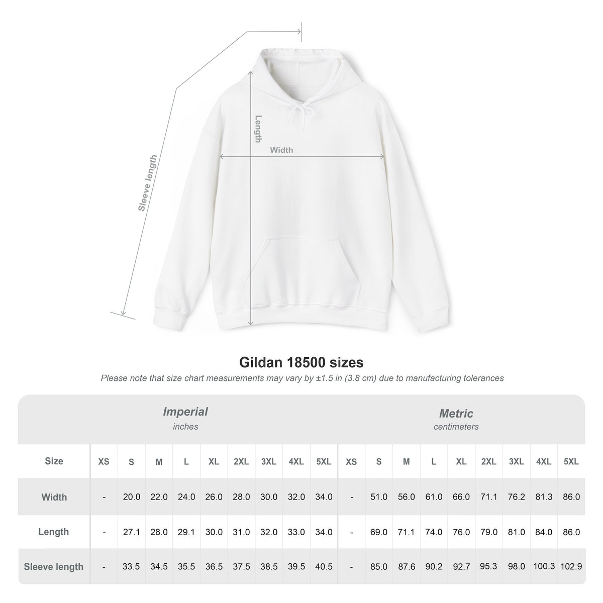 Wings of Victory Graphic Hoodie